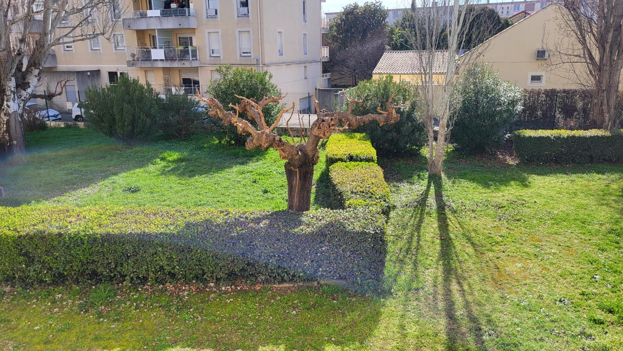 Les Tourterelles D'Avignon Apartment Exterior photo